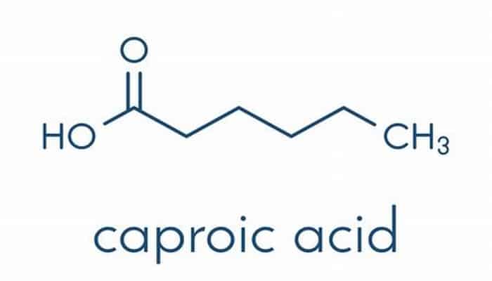 acido caproico